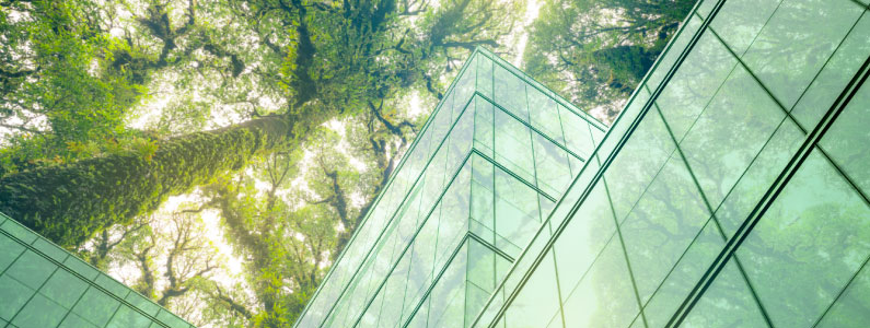 Blogs-feature-image-Getting-Buildings-Ready-For-Net-Zero